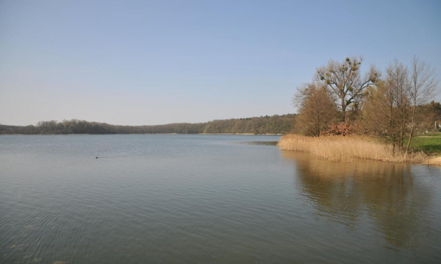 Spacer świąteczny nad jeziorem