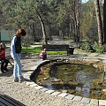 Puszczykowo, kwiecień 2009