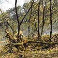 Puszczykowo, kwiecień 2009