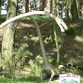 Park dinozaurów, w Rogowie, pomiędzy Gnieznem a Żninem