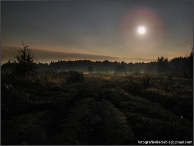 Nocny krajobraz ... #krajobraz #noc #księżyc #łąki #mgła