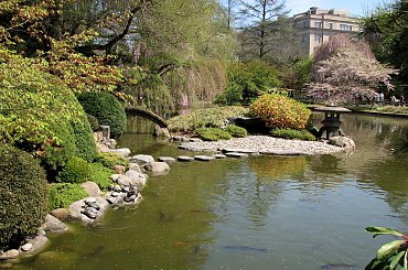 Wizyta w ogrodzie bot. #CesarskaKorona #azalia #niezapominajki #tulipany #bratki