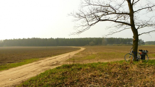 Krajobraz w ok. Sannik ok. 40 km od Poznania. Mój pojazd pod dębem. #krajobraz #Sanniki