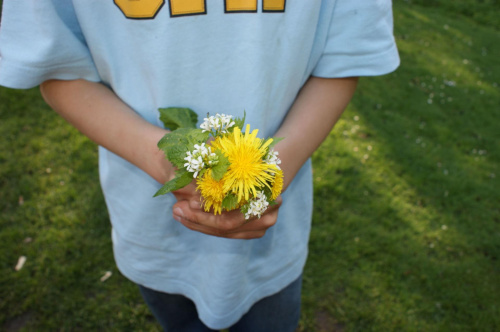 Jason (wnuk) nazbieral dla mnie bukiecik kwiatkow polnych