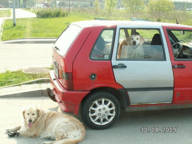 Wystarczy drzwi oworzyć i Corsa już jest