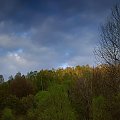 Bieszczady, góry, plener #Bieszczady #góry #plener