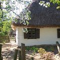 #chata #wieś #skansen #Sierpc #natura #przyroda #dom