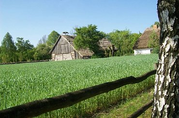 Sierpc - skansen #chata #wieś #skansen #Sierpc #natura #przyroda #dom #majówka #maj