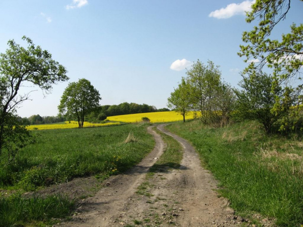 Gdzieś k/Stawów Piławskich