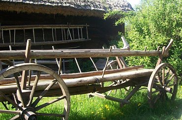 #chata #wieś #skansen #Sierpc #natura #przyroda #dom