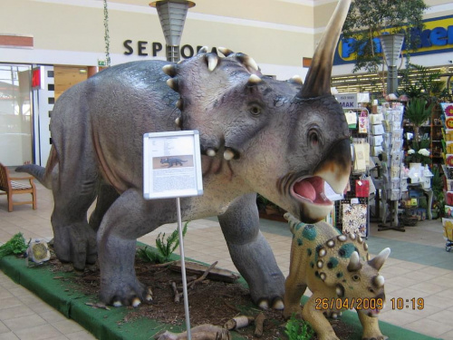 Dinozaury w centrum handlowym M1