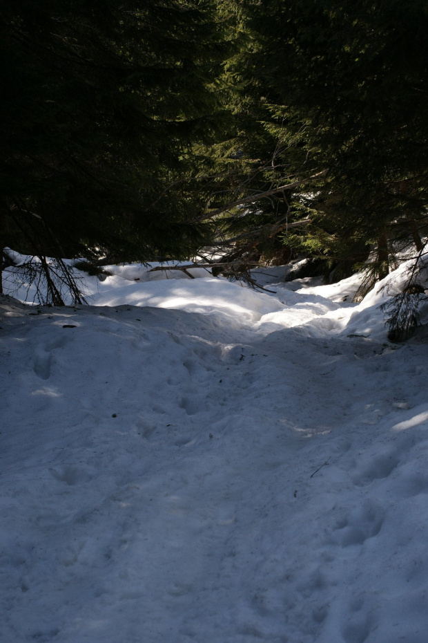 Widoki z Tatr #Tatry #Tatra #mountains #xnifar #rafinski