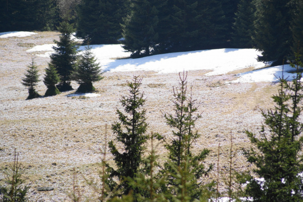 Widoki z Tatr #Tatry #Tatra #mountains #xnifar #rafinski