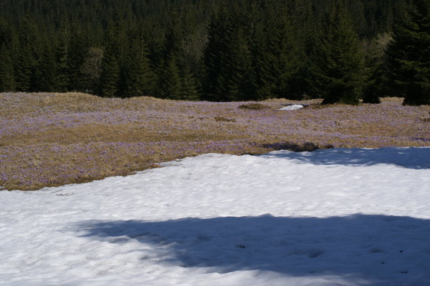 Widoki z Tatr #Tatry #Tatra #mountains #xnifar #rafinski