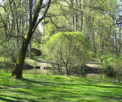 Pałanga Ogród Botaniczny #Litwa #ogrody