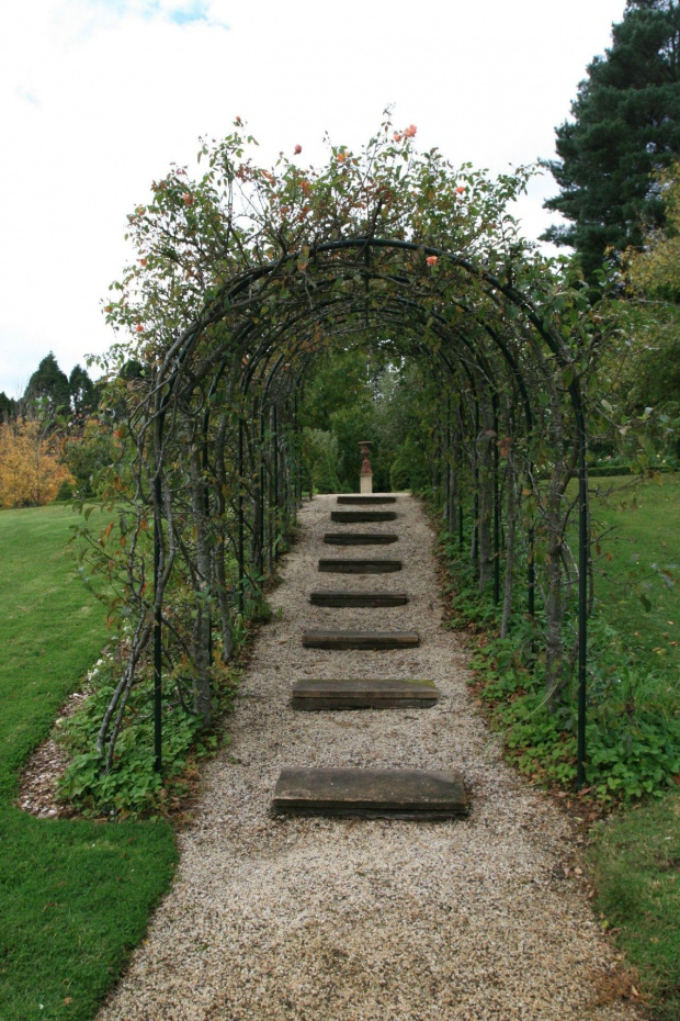 Ogrod Hawthorn - pergola obsadzona rozpietymi na niej gruszami i jabloniami.