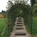 Ogrod Hawthorn - pergola obsadzona rozpietymi na niej gruszami i jabloniami.