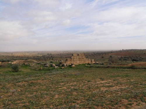 Okolice Rajny - pozostałości po osadzie rzymskiej z początku n.e