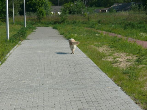 Mogą na nich lądować obiekty latające typu GR