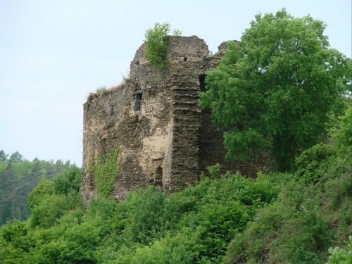 Burg Eltz #Burg #Eltz #Zamek #Niemcy #rzeka #las