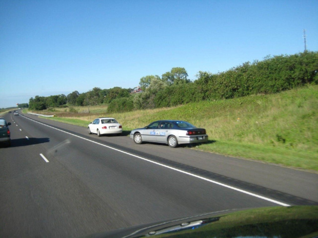 Impala