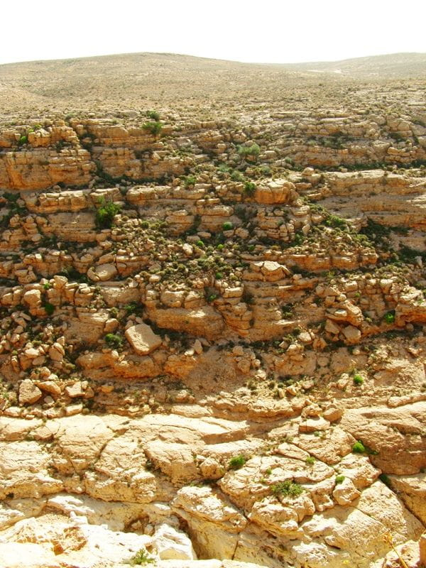 Gebel Nafusa - okolice Arhaybat