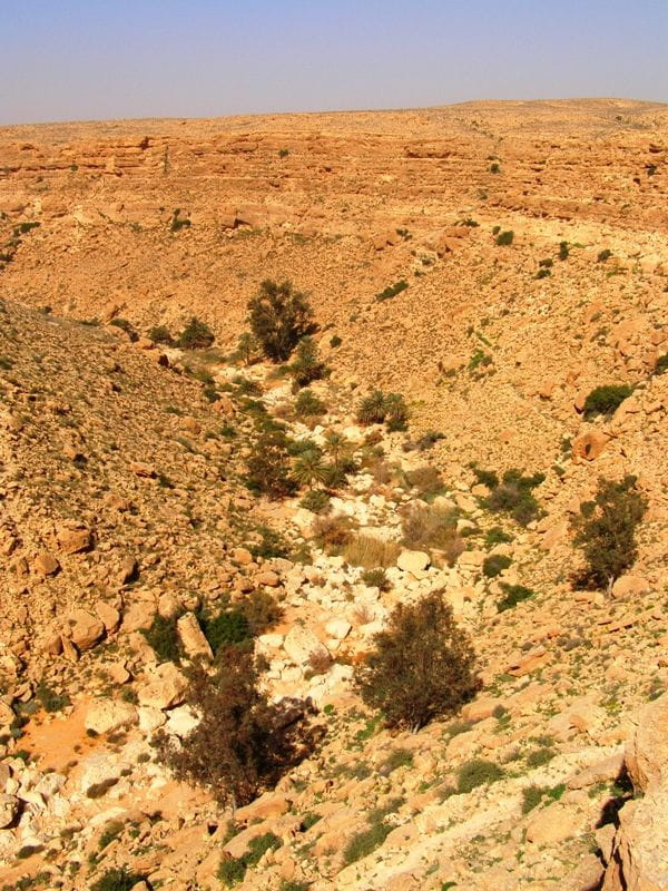 Gebel Nafusa - okolice Arhaybat