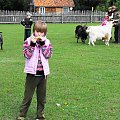 Pomigacze, majątek Howieny