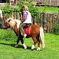 Pomigacze, majątek Howieny