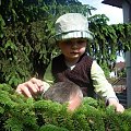 24 maja 2009, Mikołaja zabawy w ogrodzie z tatą