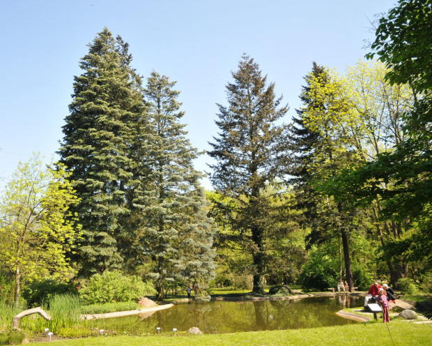 Spacer po ogrodzie botanicznym w Poznaniu - jeszcze majowy.