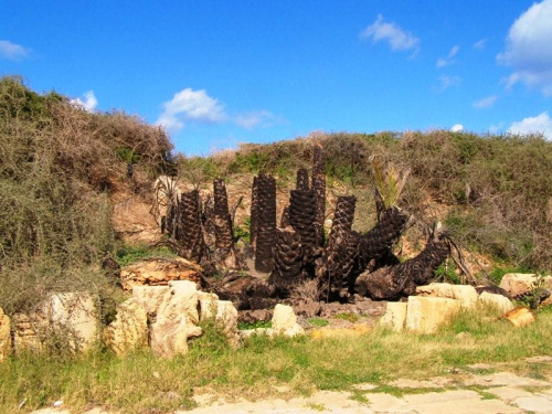 Leptis Magna (Lubda) starorzymskie miasto z ok. II w. n.e.