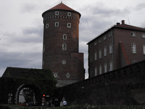 Ogólnopolskie Dni Integracji, Festiwal Zaczarowanej Piosenki,Kraków 12-14 czerwca 2009