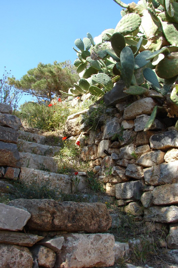 pozostałości po budynkach i schodach zarastają roślinnością makami i kaktusami -wyspa Spinalonga #Elounda #WyspaSpinalonga #Kreta #morze #ZatokaMirambellou #lodzie #statki #fala