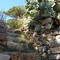 pozostałości po budynkach i schodach zarastają roślinnością makami i kaktusami -wyspa Spinalonga #Elounda #WyspaSpinalonga #Kreta #morze #ZatokaMirambellou #lodzie #statki #fala