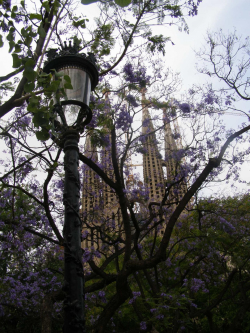 Sagrada Familia