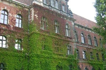 Wakacje 2007 - Wrocław zwiedzanie cd #wakacje #wrocław #miasto #odra