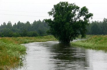 Ślęza, most żernicki
od wczoraj kilka cm przybyło #woda #powódź #wrocław