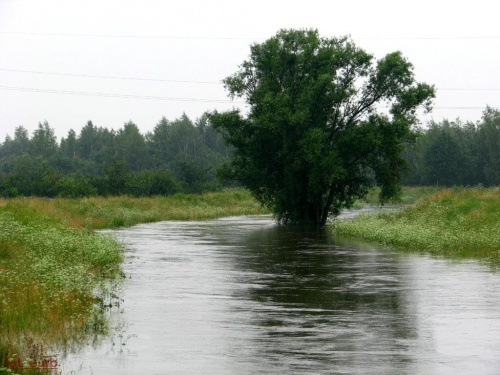 Ślęza, most żernicki
od wczoraj kilka cm przybyło #woda #powódź #wrocław