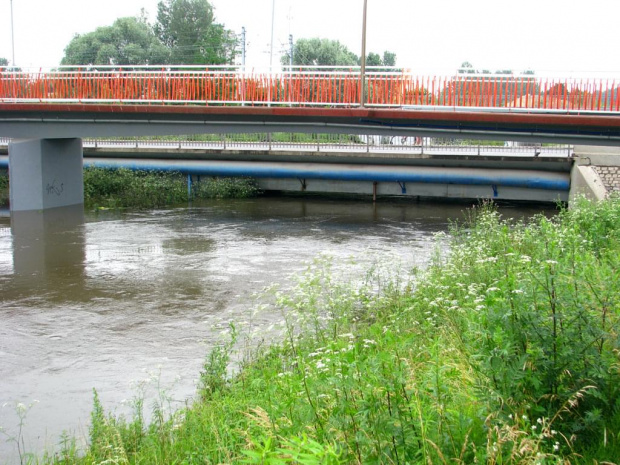coraz więcej wody na Ślęzie we Wrocławiu, jak tak dalej będzie to zaleje most drogowy, prześwit to tylko kilka centymetrów
