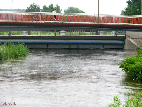 Ślęza, most żernicki
od wczoraj kilka cm przybyło, jak widać prześwit pod mostem coraz mniejszy #woda #powódź #wrocław