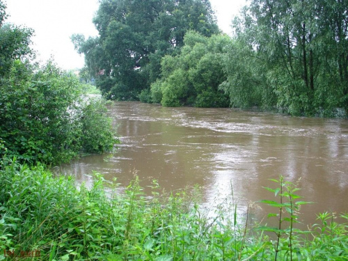rzeka Bystrzyca koło mostu ratyńskiego #woda #powódź #wrocław