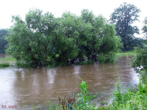 rzeka Bystrzyca koło mostu ratyńskiego #woda #powódź #wrocław