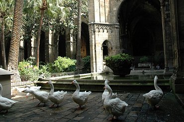 Barcelona-hiszpania-krużganki katedry św.Eulalii #BARCELONA #MIASTA #KATEDRY #KRUŻGANKI