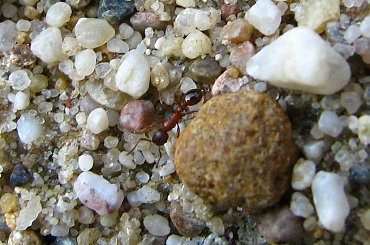 trochę piasku :D #kamyki #piasek