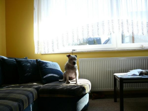 Bessi 30-04-07