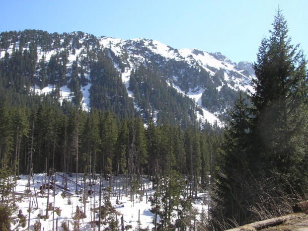 ZAKOPANE 2007