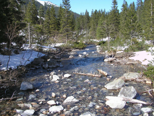 ZAKOPANE 2007