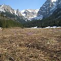 ZAKOPANE 2007