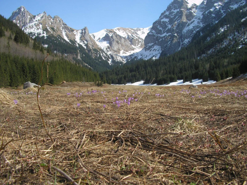 ZAKOPANE 2007